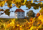 Vinogradarski dvorac Zlati Grič