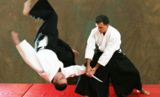 Aikido klub Put