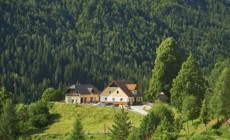 Farma Gradišnik