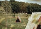 Forest glamping resort Blaguš