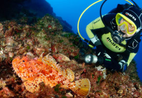 Big Blue Diving - naučite teorije i prakse ronjenja