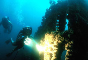 Big blue diving - avanturistično ronjenje