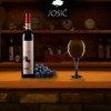 Baranjski specijaliteti uz degustaciju 5 vrsta vina u Vinariji Josić