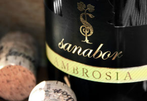 Vina Sanabor - čarobna degustacija vina za dvoje