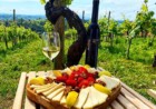 Vinarija Zdolc