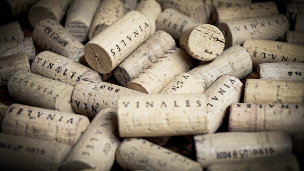 degustacija vina Vinales