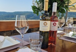 Vinarija Fakin- Wine & Truffle Experience