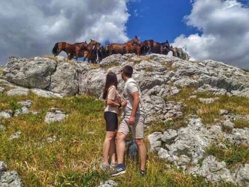 Vaučer za Obilazak divljih konja džipom u trajanju od 2,5 h.