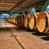 Luksuz u Vinogradu: Vinarija Galić & Stupnički Dvori - Ponuda za Pamćenje