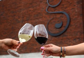 Degustacija devet vrhunskih vina u vinariji Galić
