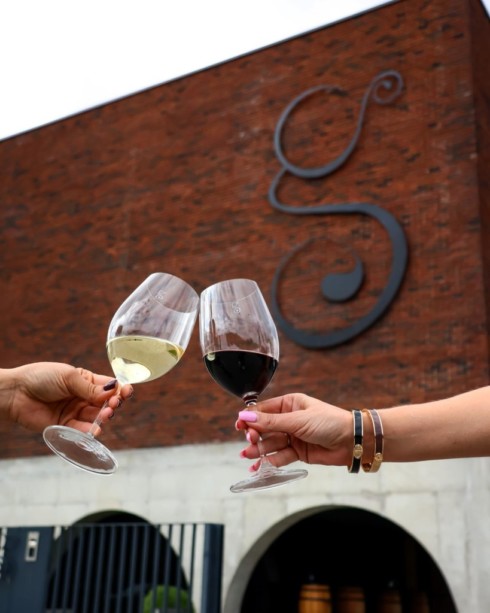 Degustacija devet vrhunskih vina u vinariji Galić