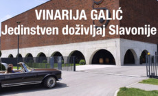 Vinarija Galić i Stupnički dvori