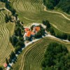 Bijeg u vinograde, noćenje sa doručkom i degustacija u Dvorcu Jeruzalem za 2 osobe Bijeg u vinograde, noćenje sa doručkom i degustacija u Dvorcu Jeruzalem za 2 osobe
